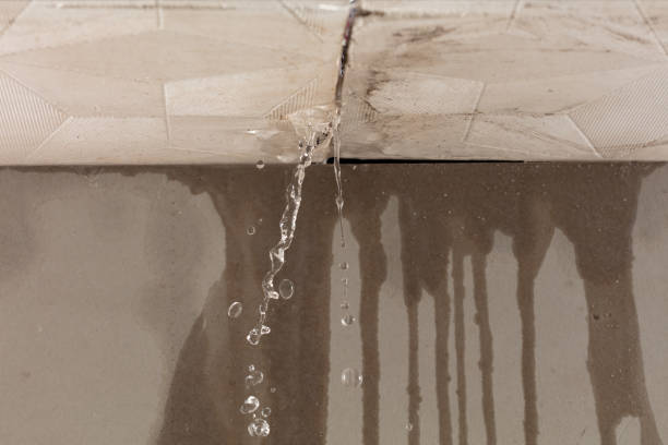 Professional Structural Drying technician working in Newton, UT